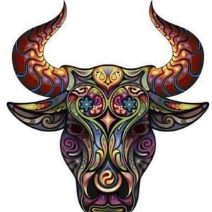 Meet your Posher, Rose